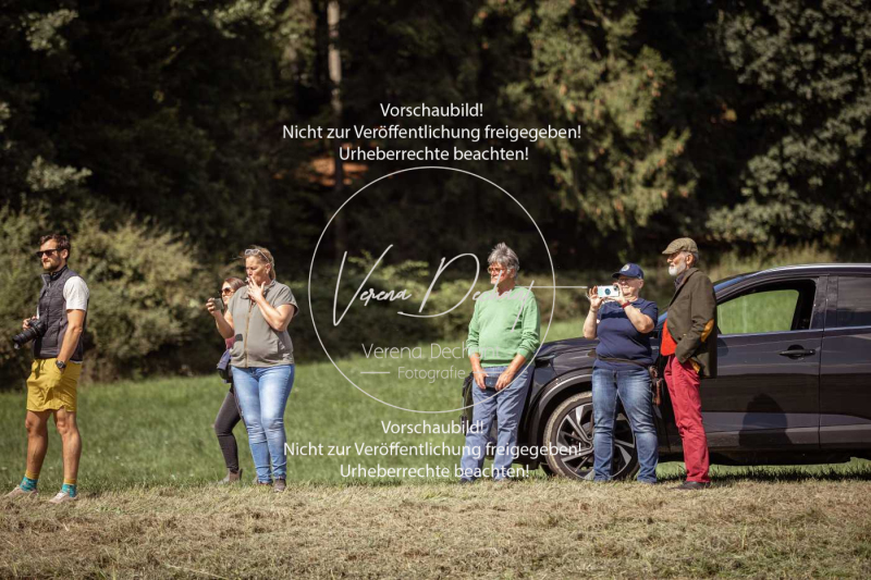 Gundelsdorf1_2025_249 Gundelsdorf1_2025_249