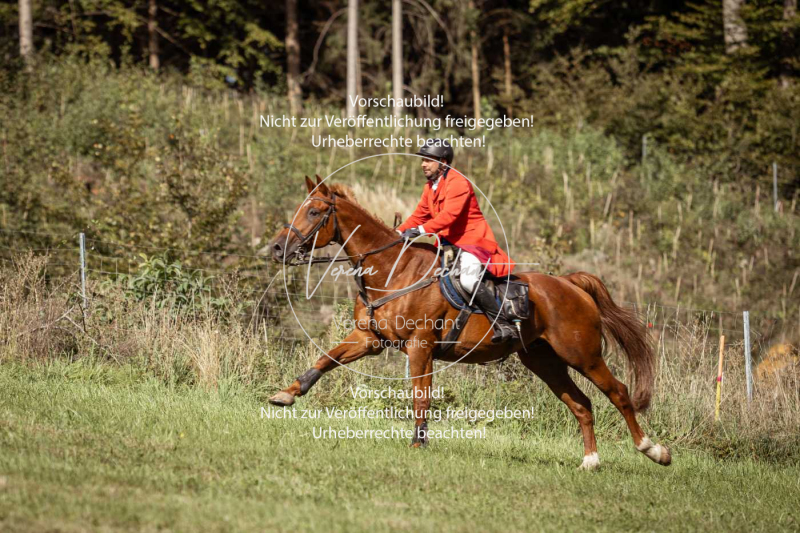 Gundelsdorf1_2025_25 Gundelsdorf1_2025_25