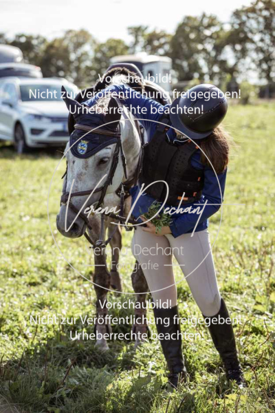 Gundelsdorf1_2025_252 Gundelsdorf1_2025_252