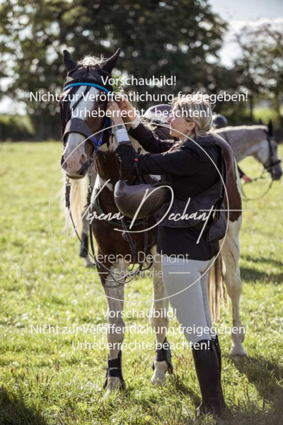 Gundelsdorf1_2025_254 Gundelsdorf1_2025_254