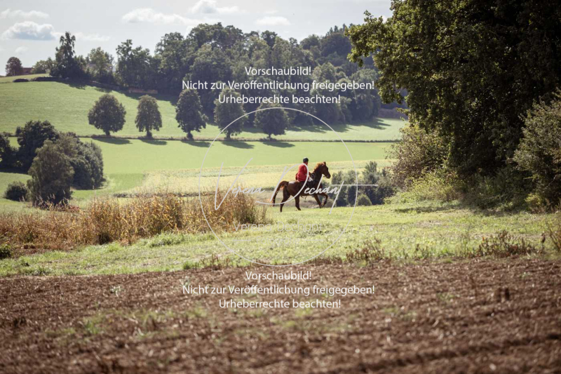 Gundelsdorf1_2025_255 Gundelsdorf1_2025_255