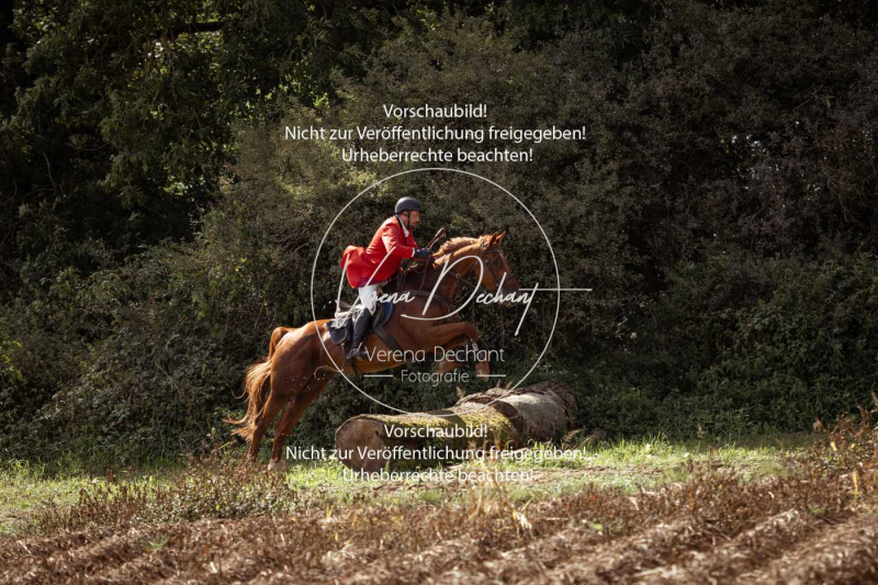 Gundelsdorf1_2025_257 Gundelsdorf1_2025_257