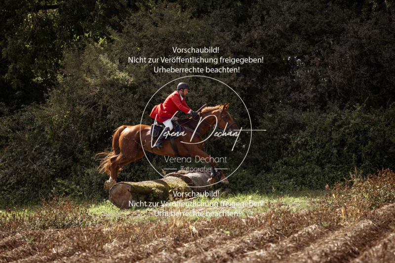 Gundelsdorf1_2025_258 Gundelsdorf1_2025_258