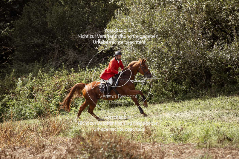 Gundelsdorf1_2025_261 Gundelsdorf1_2025_261