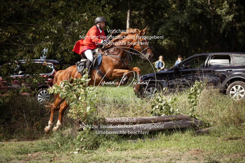 Gundelsdorf1_2025_265 Gundelsdorf1_2025_265