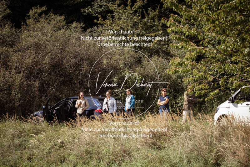 Gundelsdorf1_2025_269 Gundelsdorf1_2025_269