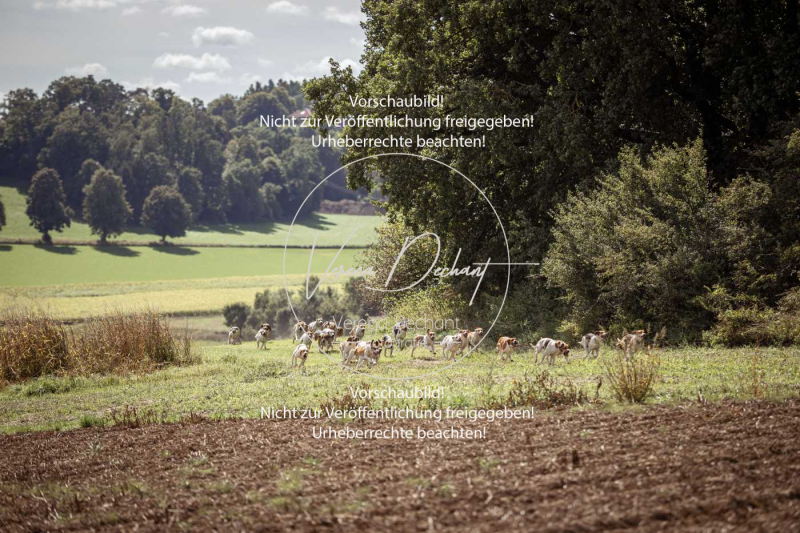 Gundelsdorf1_2025_273 Gundelsdorf1_2025_273