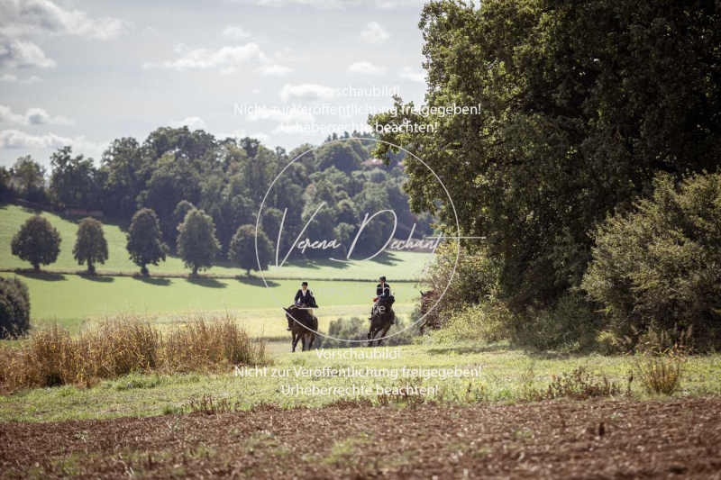 Gundelsdorf1_2025_274 Gundelsdorf1_2025_274