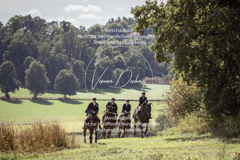 Gundelsdorf1_2025_276 Gundelsdorf1_2025_276