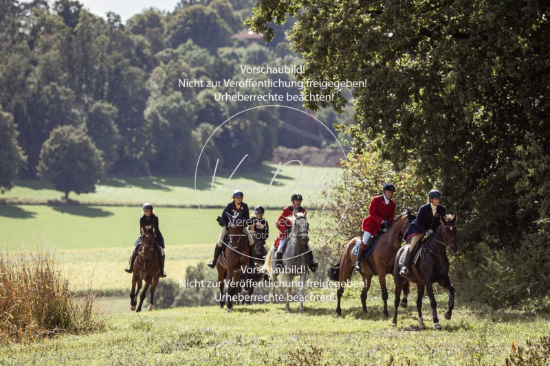 Gundelsdorf1_2025_277 Gundelsdorf1_2025_277