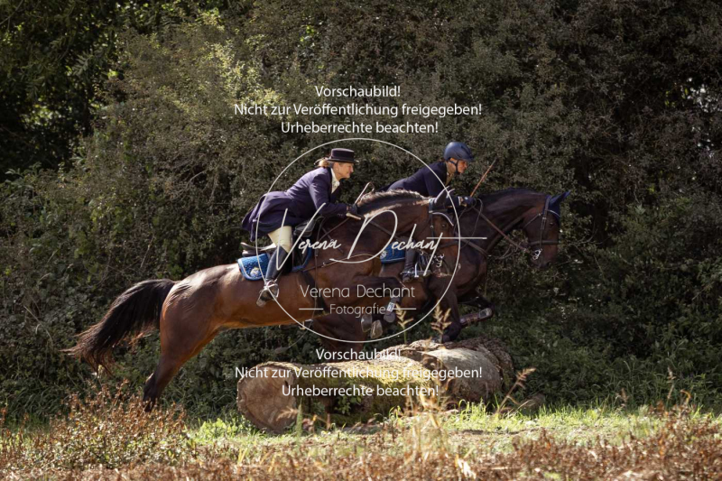 Gundelsdorf1_2025_278 Gundelsdorf1_2025_278