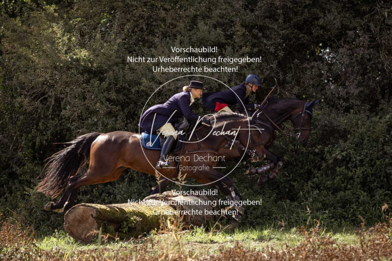 Gundelsdorf1_2025_279 Gundelsdorf1_2025_279