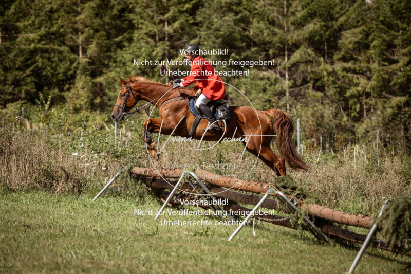 Gundelsdorf1_2025_28 Gundelsdorf1_2025_28