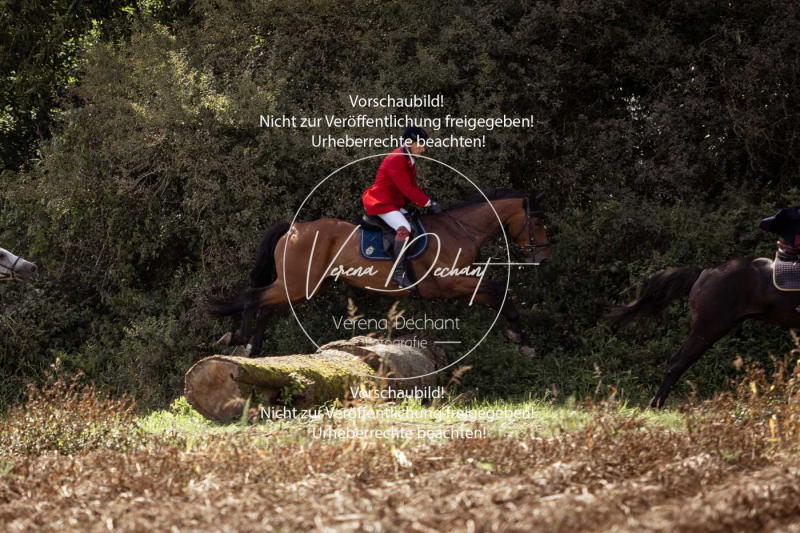 Gundelsdorf1_2025_281 Gundelsdorf1_2025_281