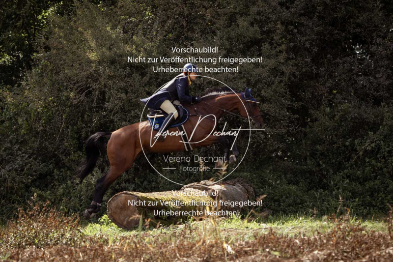 Gundelsdorf1_2025_282 Gundelsdorf1_2025_282