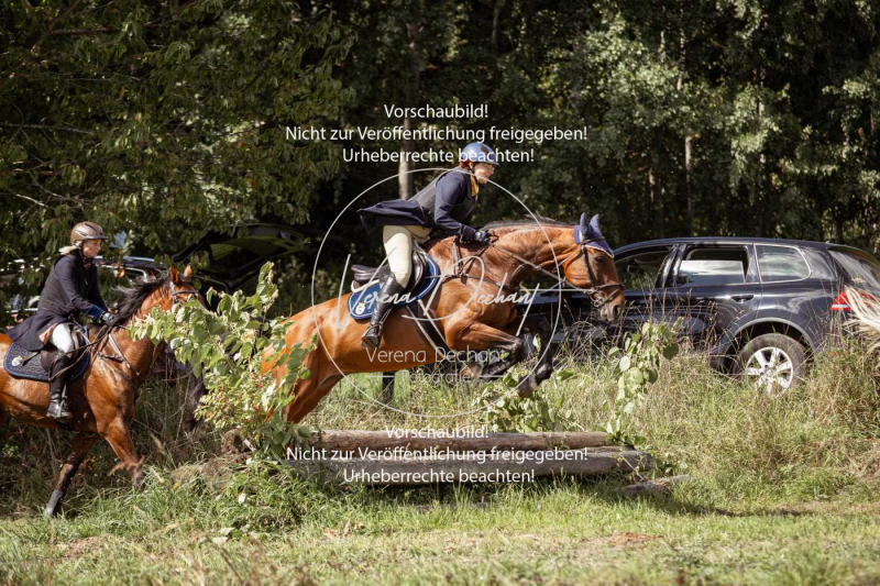 Gundelsdorf1_2025_284 Gundelsdorf1_2025_284