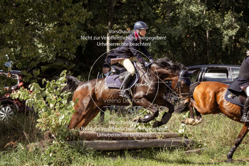 Gundelsdorf1_2025_285 Gundelsdorf1_2025_285