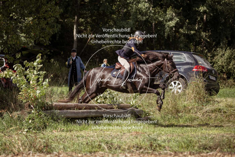 Gundelsdorf1_2025_286 Gundelsdorf1_2025_286