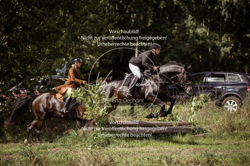 Gundelsdorf1_2025_287 Gundelsdorf1_2025_287