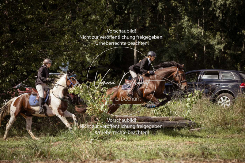 Gundelsdorf1_2025_289 Gundelsdorf1_2025_289