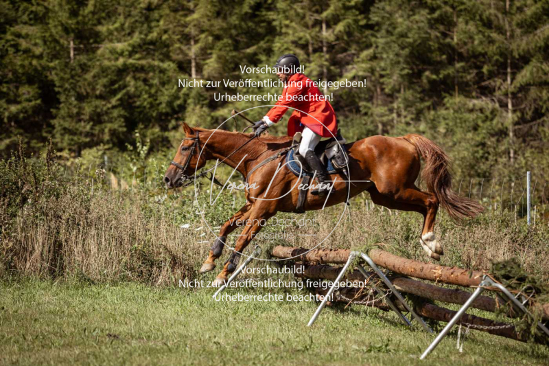 Gundelsdorf1_2025_29 Gundelsdorf1_2025_29