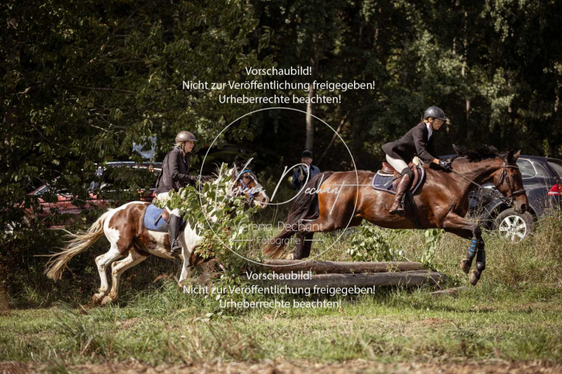 Gundelsdorf1_2025_290 Gundelsdorf1_2025_290