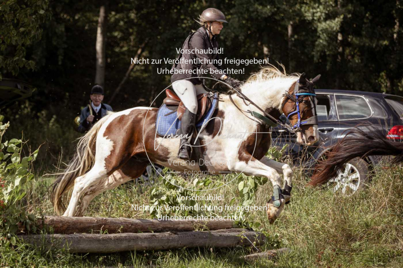 Gundelsdorf1_2025_291 Gundelsdorf1_2025_291