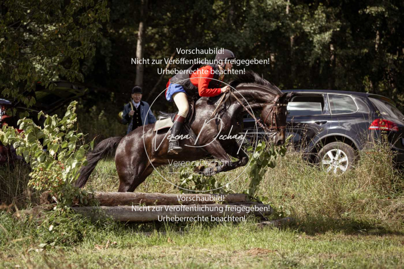 Gundelsdorf1_2025_292 Gundelsdorf1_2025_292