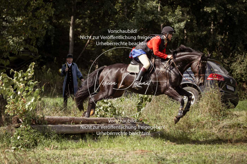 Gundelsdorf1_2025_293 Gundelsdorf1_2025_293