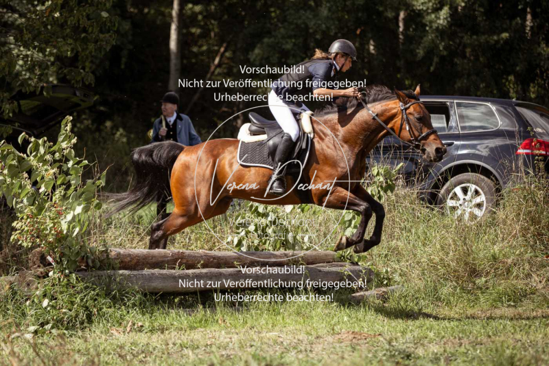 Gundelsdorf1_2025_294 Gundelsdorf1_2025_294