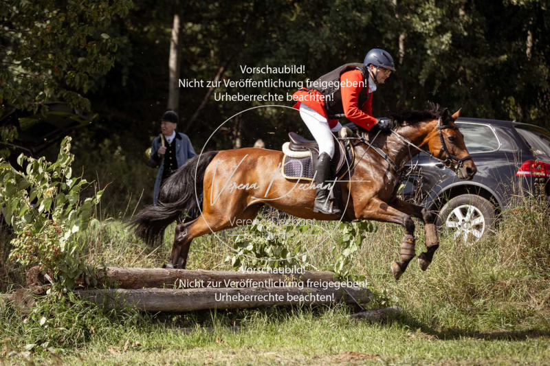 Gundelsdorf1_2025_295 Gundelsdorf1_2025_295