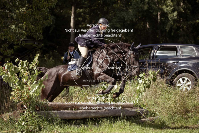 Gundelsdorf1_2025_296 Gundelsdorf1_2025_296