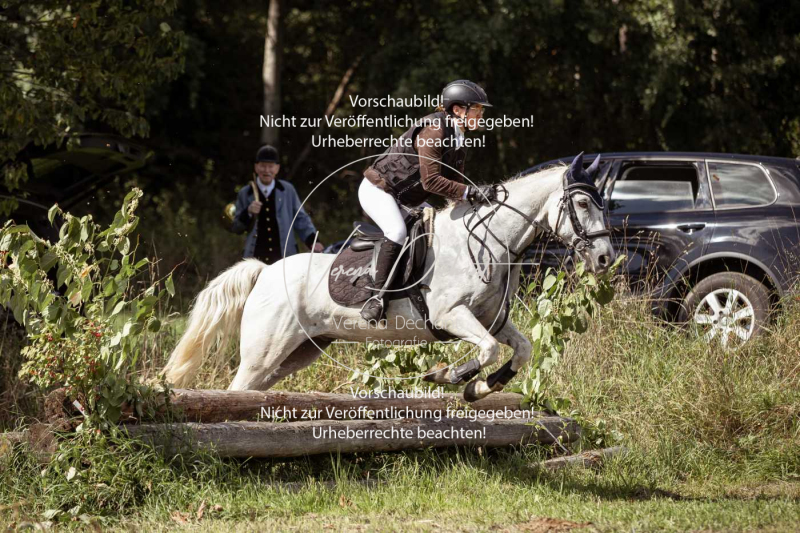 Gundelsdorf1_2025_297 Gundelsdorf1_2025_297