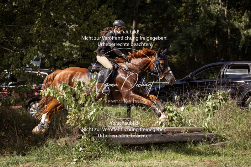 Gundelsdorf1_2025_298 Gundelsdorf1_2025_298