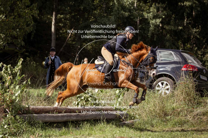 Gundelsdorf1_2025_299 Gundelsdorf1_2025_299