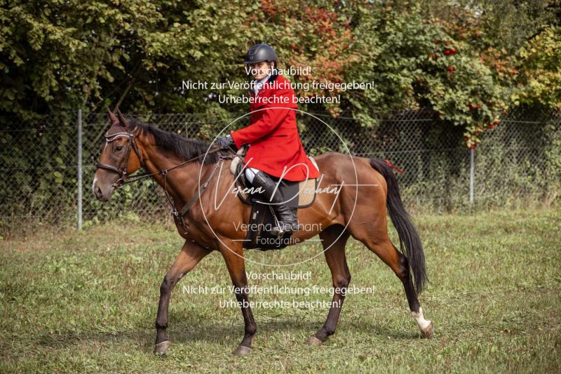 Gundelsdorf1_2025_3 Gundelsdorf1_2025_3