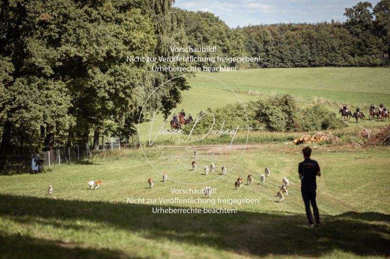 Gundelsdorf1_2025_30 Gundelsdorf1_2025_30