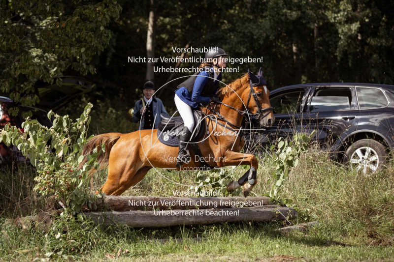 Gundelsdorf1_2025_300 Gundelsdorf1_2025_300