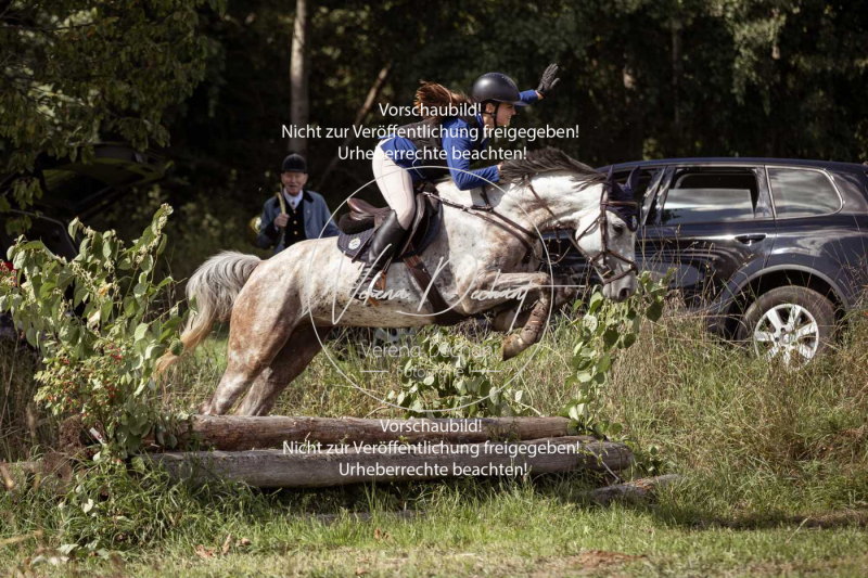 Gundelsdorf1_2025_301 Gundelsdorf1_2025_301