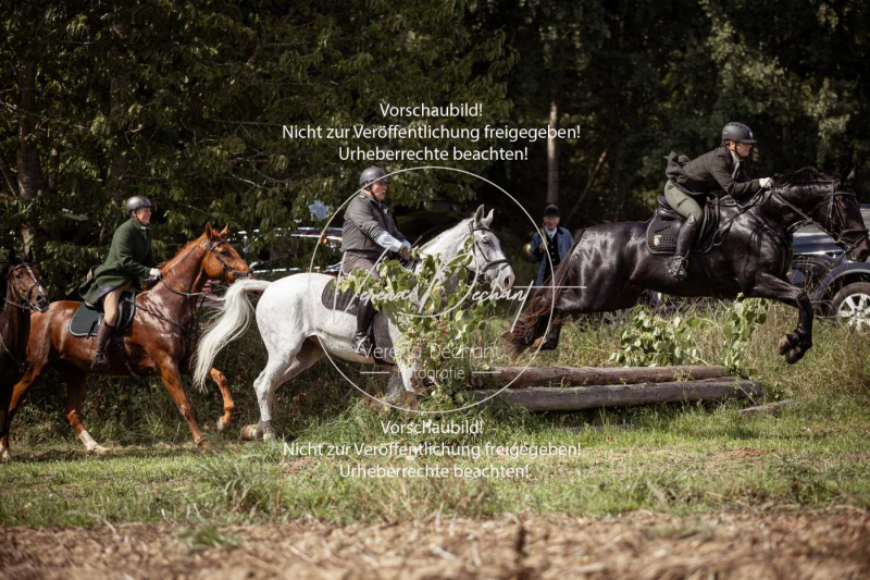 Gundelsdorf1_2025_302 Gundelsdorf1_2025_302