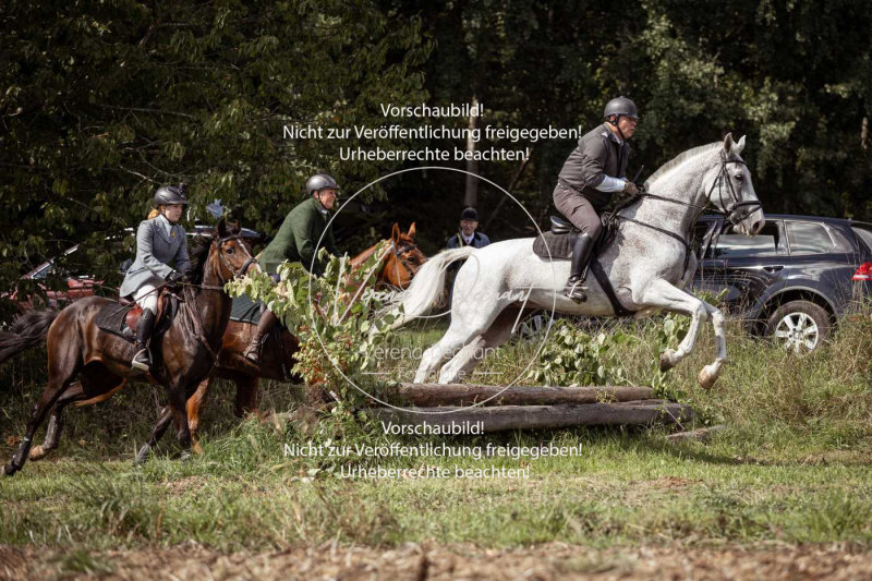 Gundelsdorf1_2025_303 Gundelsdorf1_2025_303