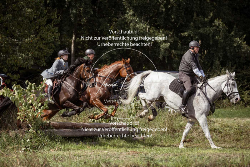 Gundelsdorf1_2025_304 Gundelsdorf1_2025_304