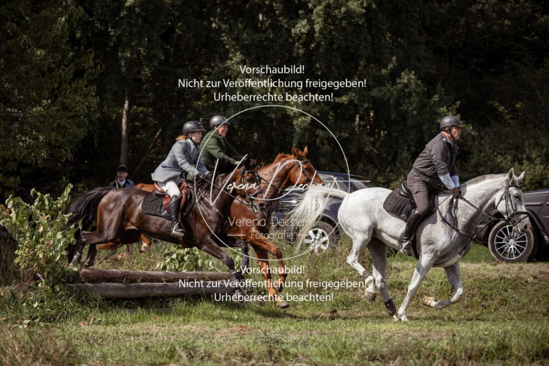 Gundelsdorf1_2025_305 Gundelsdorf1_2025_305