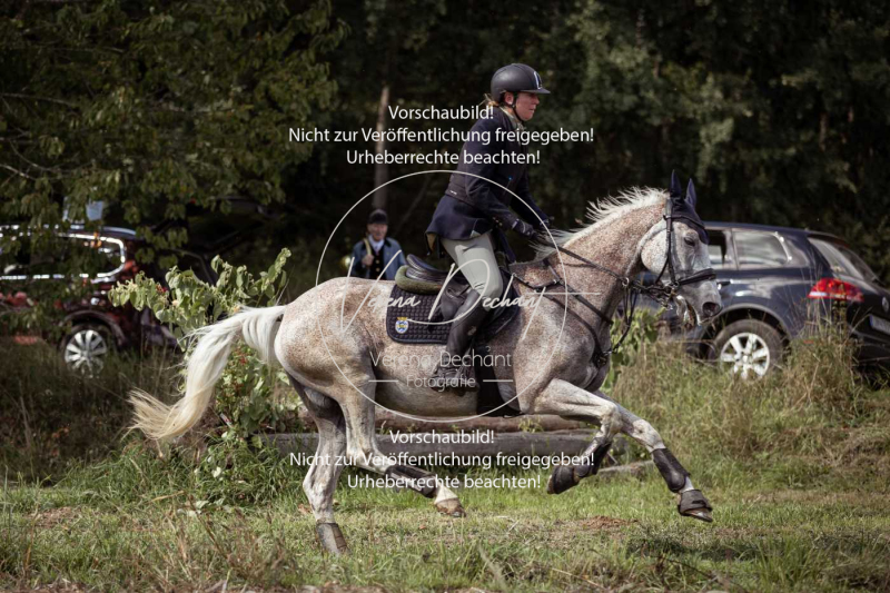 Gundelsdorf1_2025_306 Gundelsdorf1_2025_306