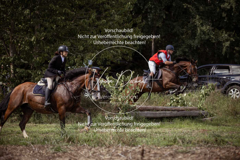 Gundelsdorf1_2025_307 Gundelsdorf1_2025_307