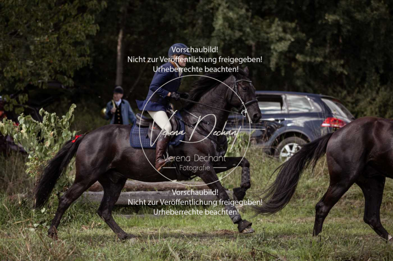 Gundelsdorf1_2025_308 Gundelsdorf1_2025_308