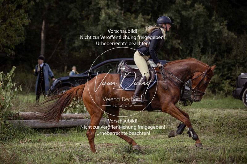 Gundelsdorf1_2025_309 Gundelsdorf1_2025_309