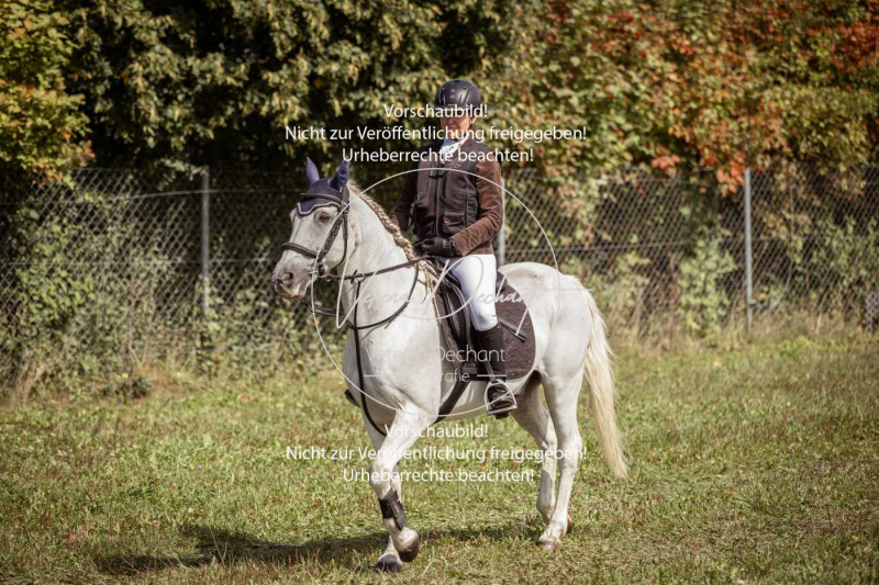 Gundelsdorf1_2025_31 Gundelsdorf1_2025_31