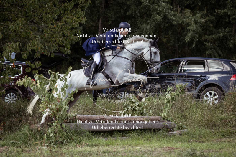 Gundelsdorf1_2025_310 Gundelsdorf1_2025_310