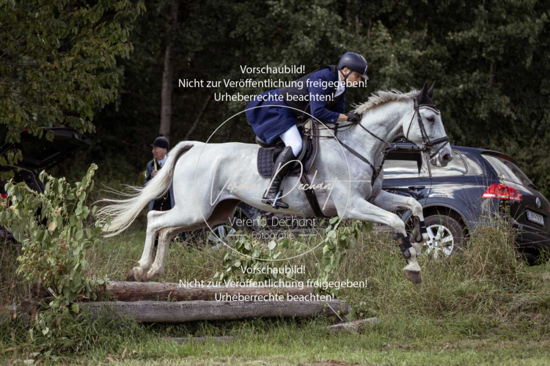 Gundelsdorf1_2025_311 Gundelsdorf1_2025_311